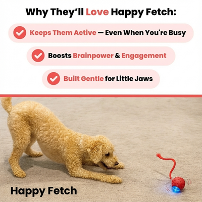 Happy Fetch - Safe & Interactive Chase Toy
