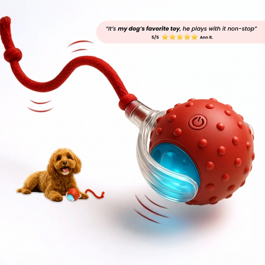 Happy Fetch - Safe & Interactive Chase Toy