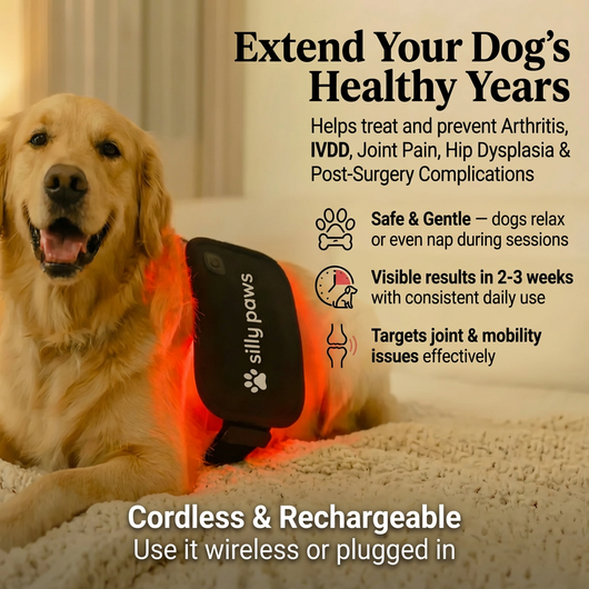 Red Light Healing Pad - for joint aches & pains