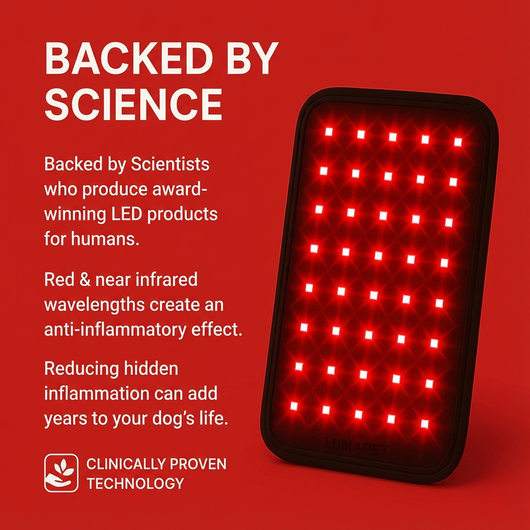 Red Light Healing Pad - for joint aches & pains
