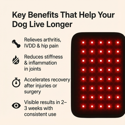 Red Light Healing Pad - for joint aches & pains